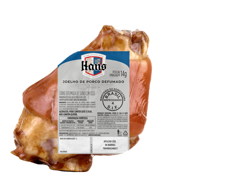 img-joelho-porco